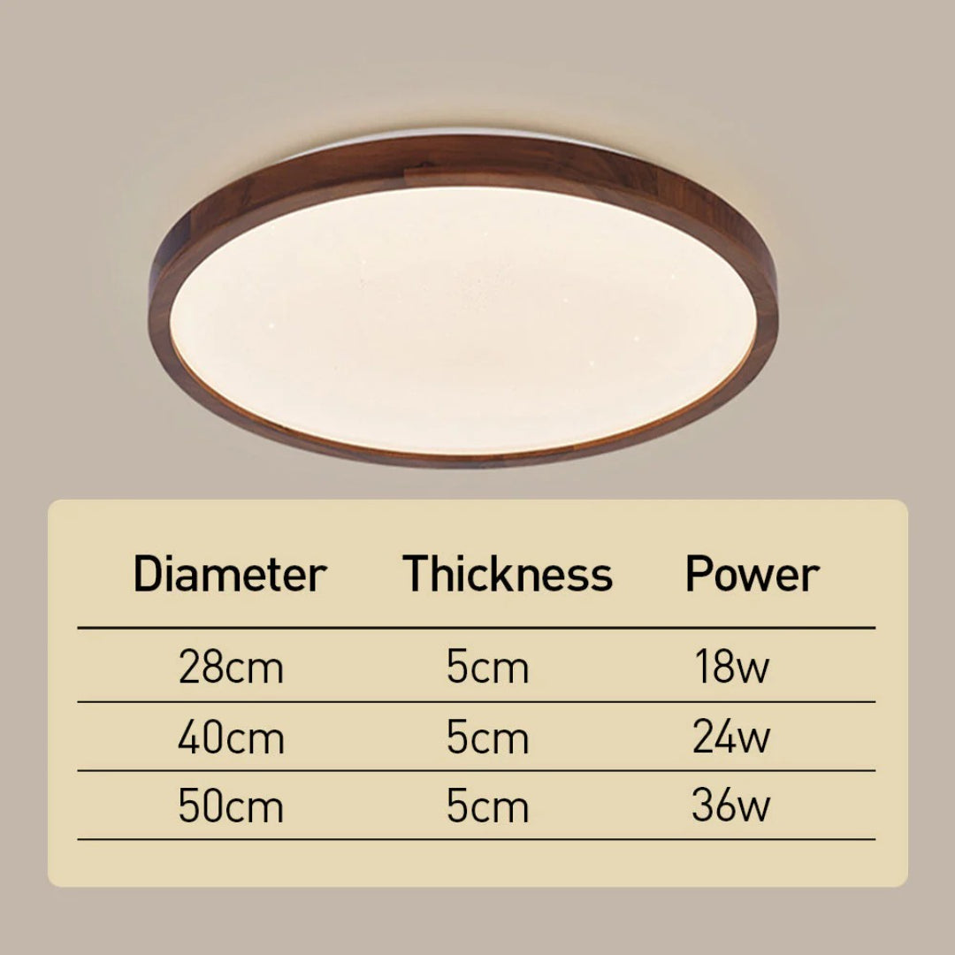 Moderne Moon LED Plafondlamp