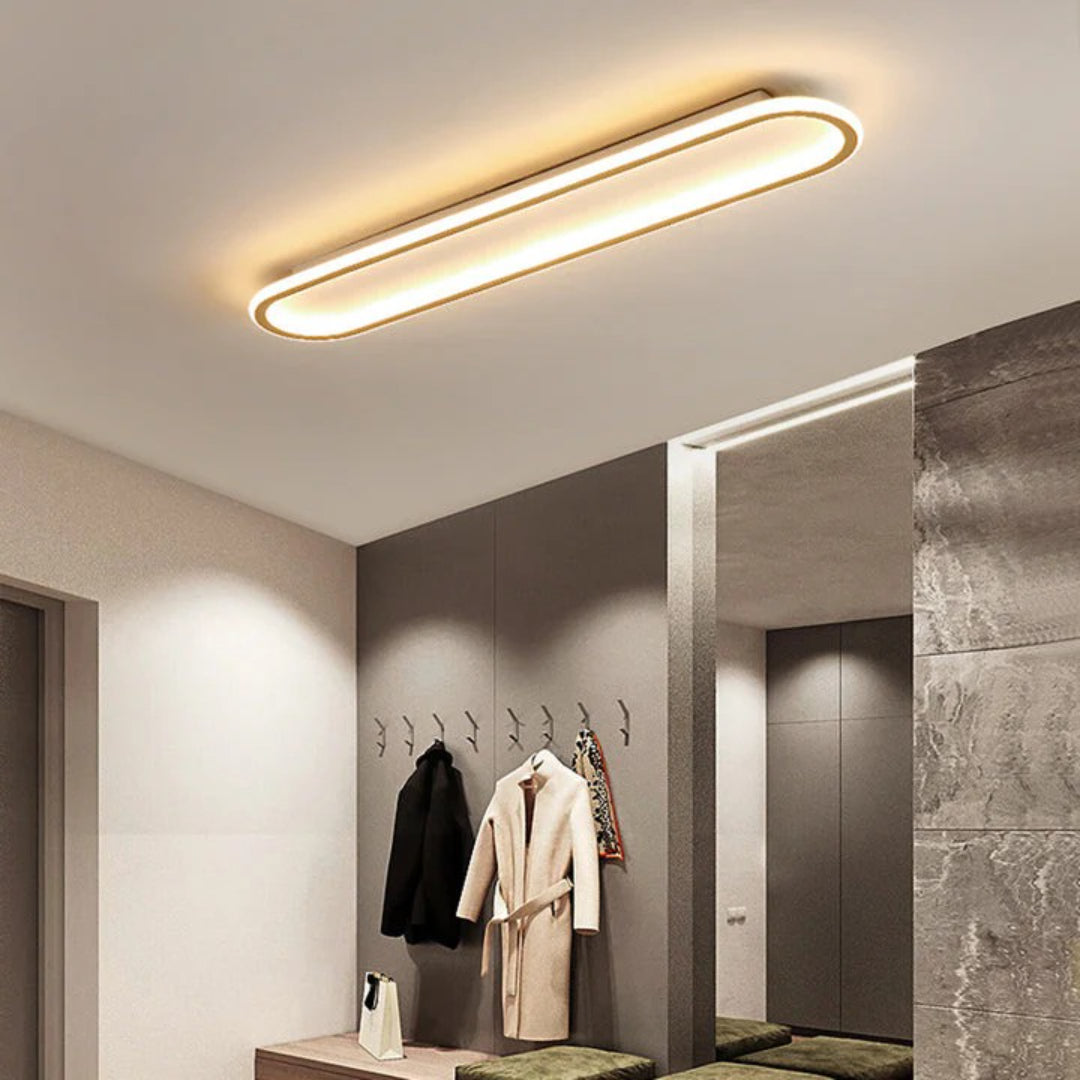 Moderne Ovale LED Plafondlamp