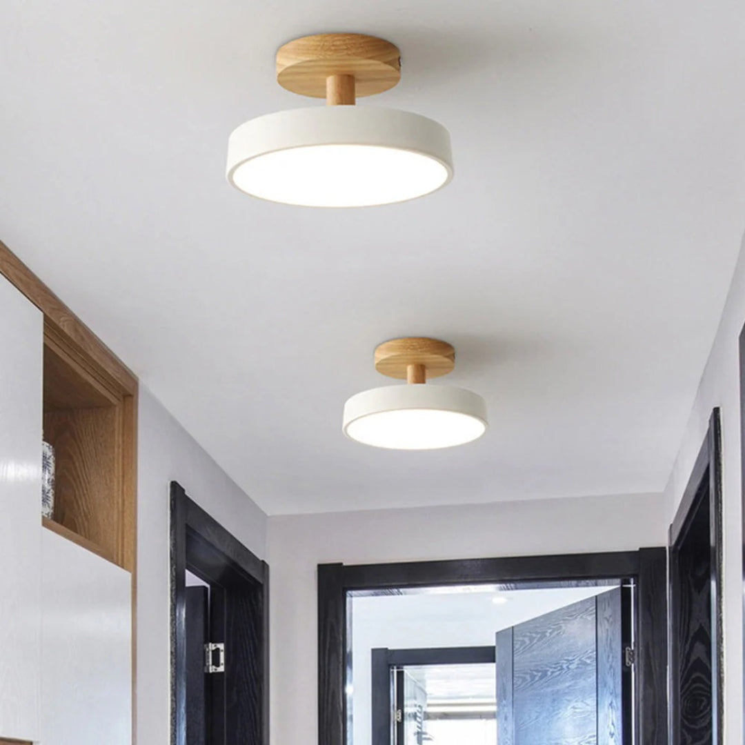 Hedendaagse ronde plafondlamp