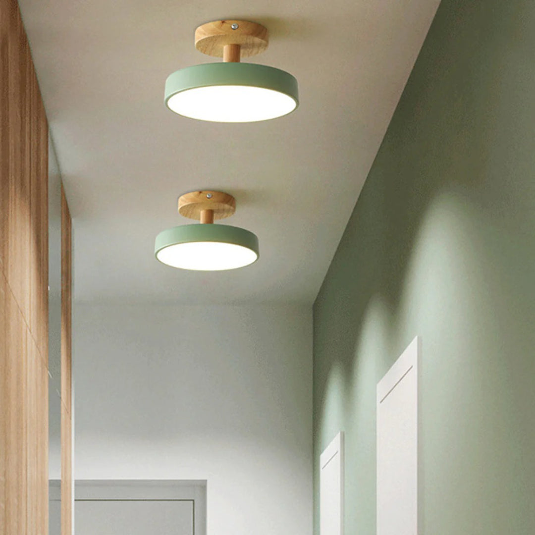 Hedendaagse ronde plafondlamp