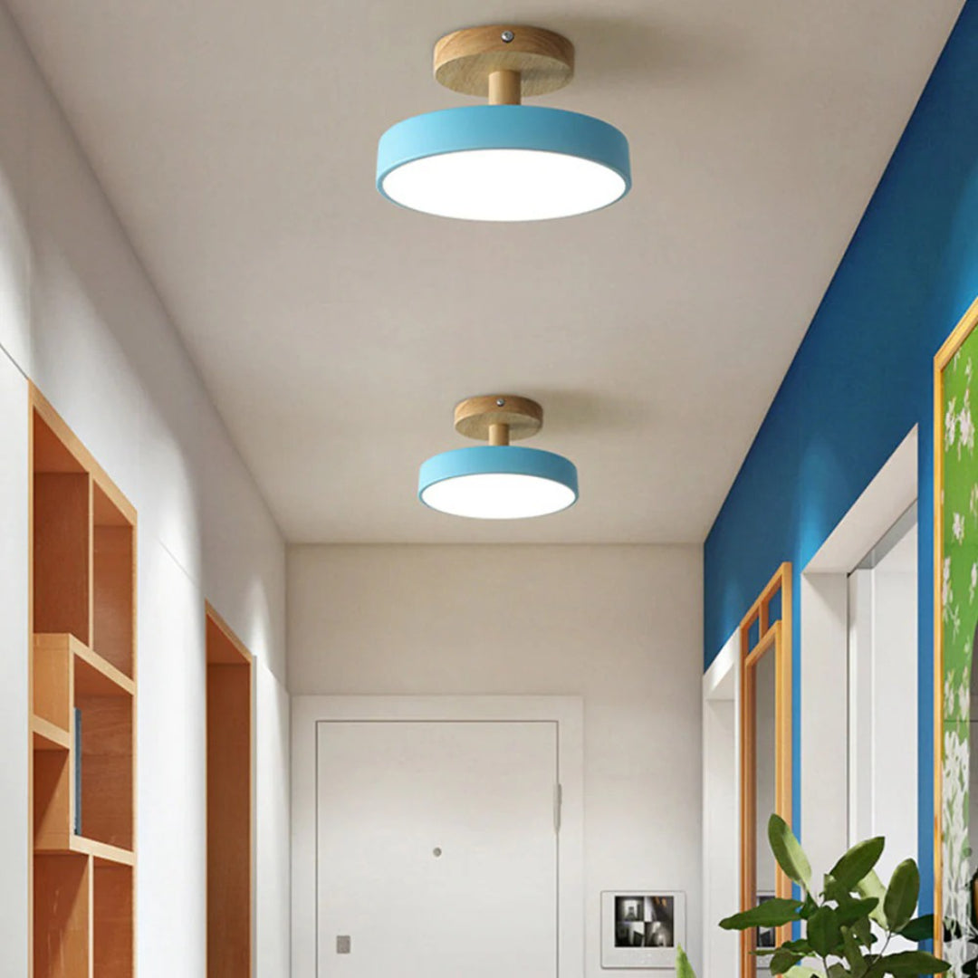 Hedendaagse ronde plafondlamp
