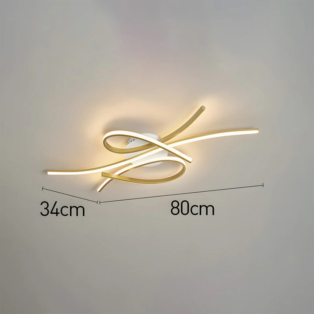 Hedendaagse LED Plafondlamp