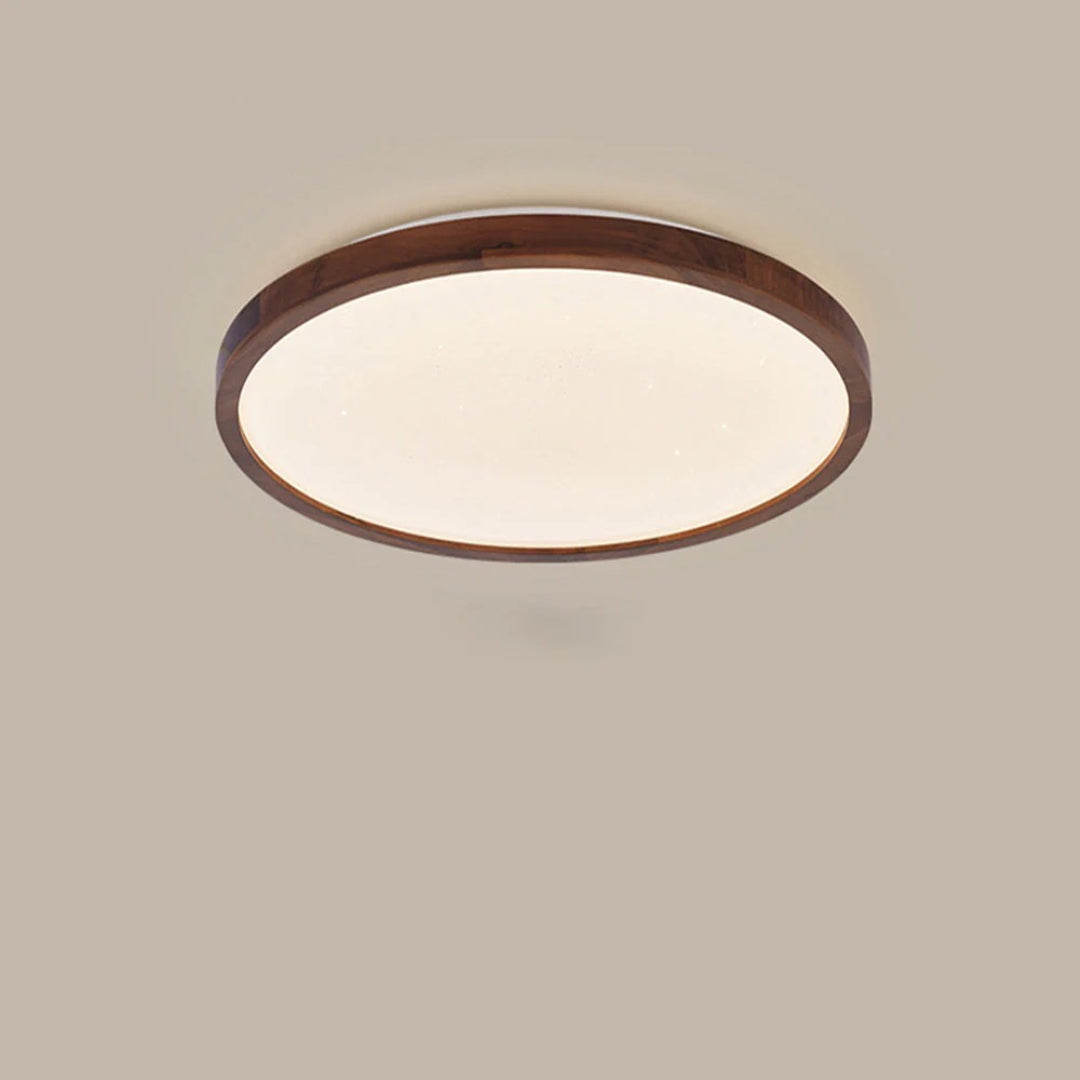Moderne Moon LED Plafondlamp