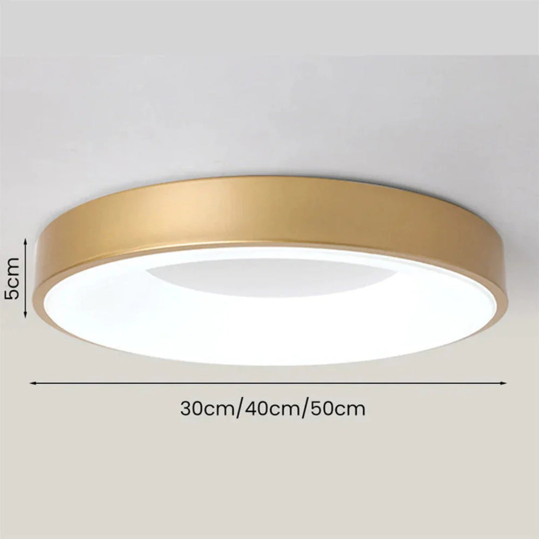 Minimalistische Ronde Acryl Plafondlamp
