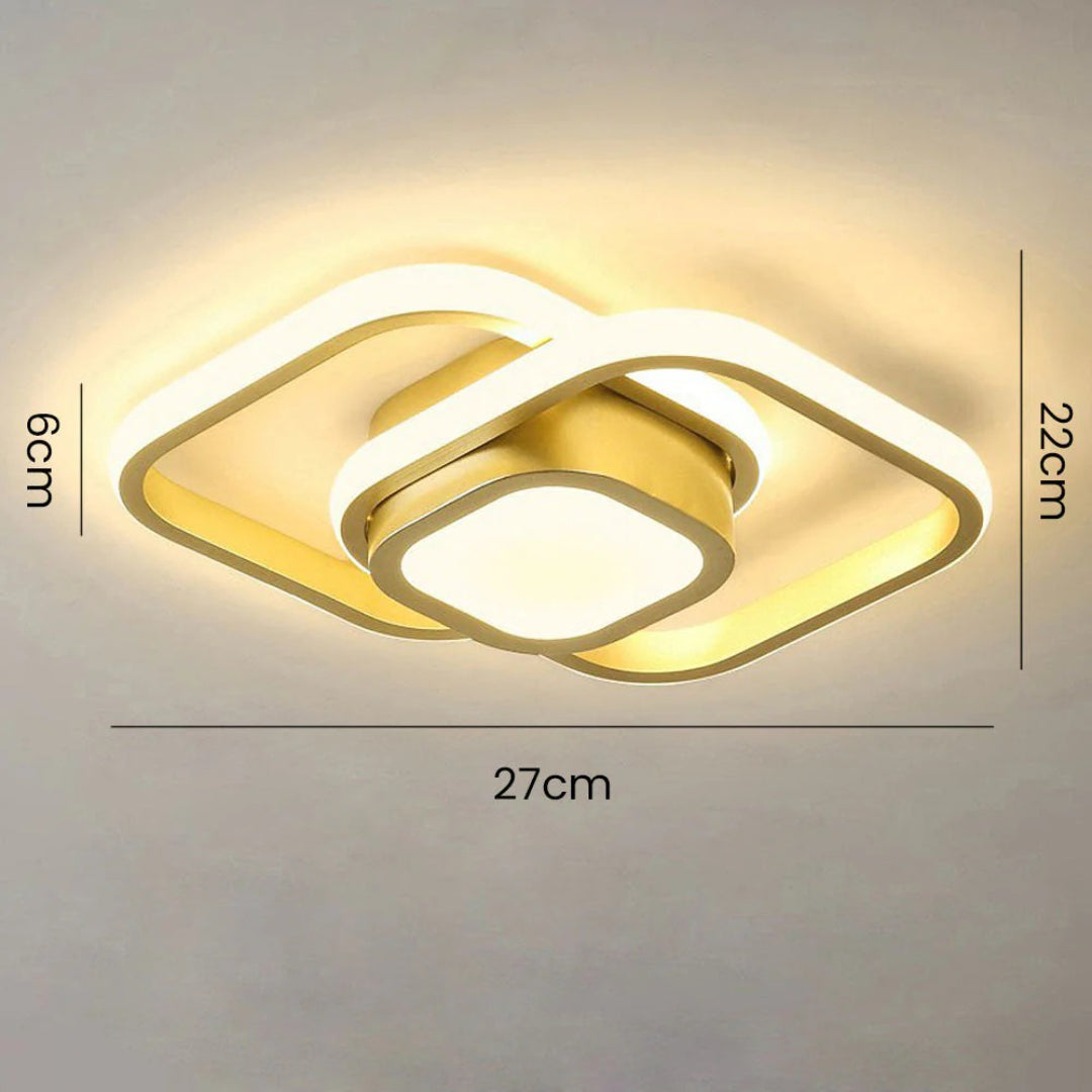 Hedendaagse Dubbele Ring Plafondlamp