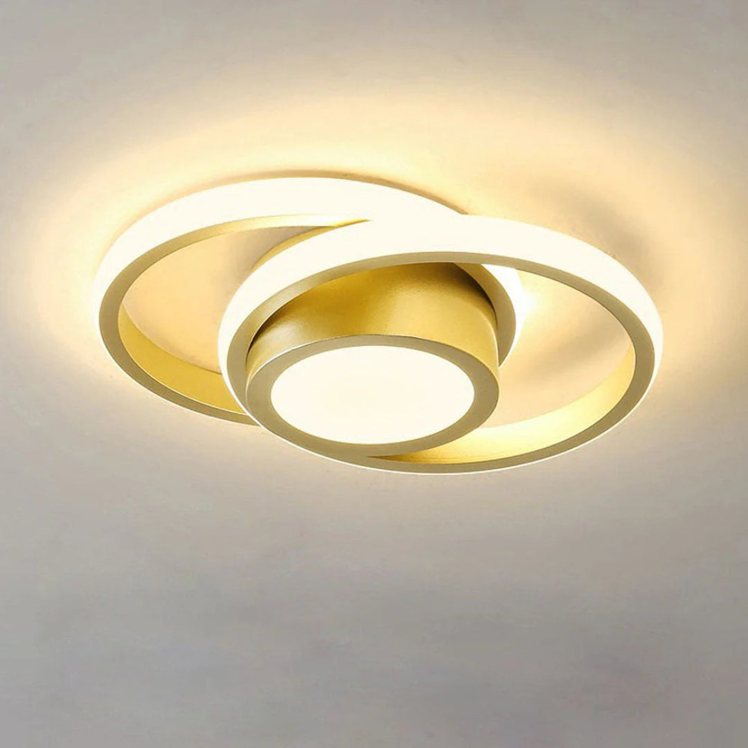 Hedendaagse Dubbele Ring Plafondlamp