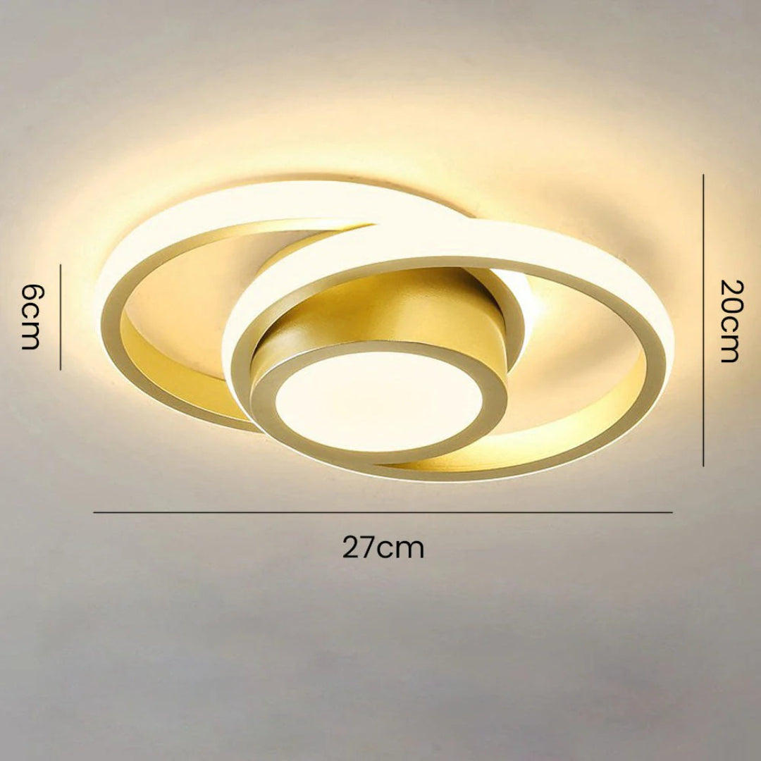 Hedendaagse Dubbele Ring Plafondlamp