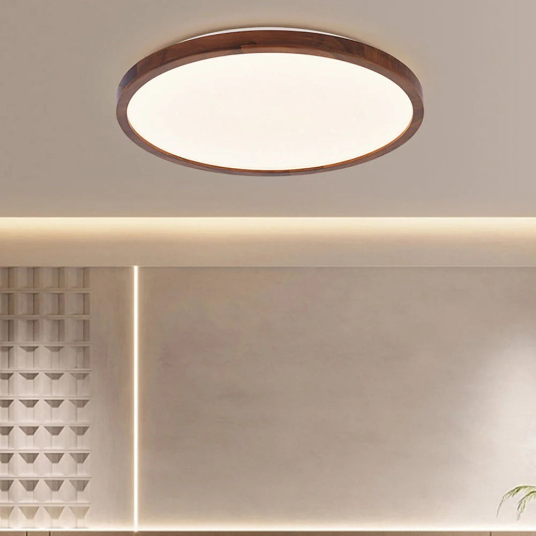 Moderne Moon LED Plafondlamp