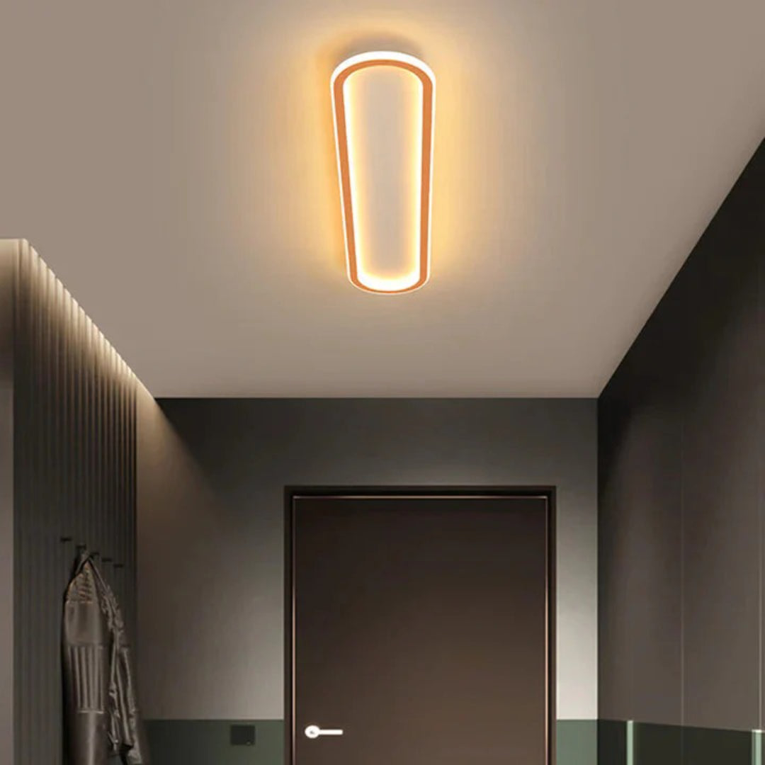 Moderne Ovale LED Plafondlamp