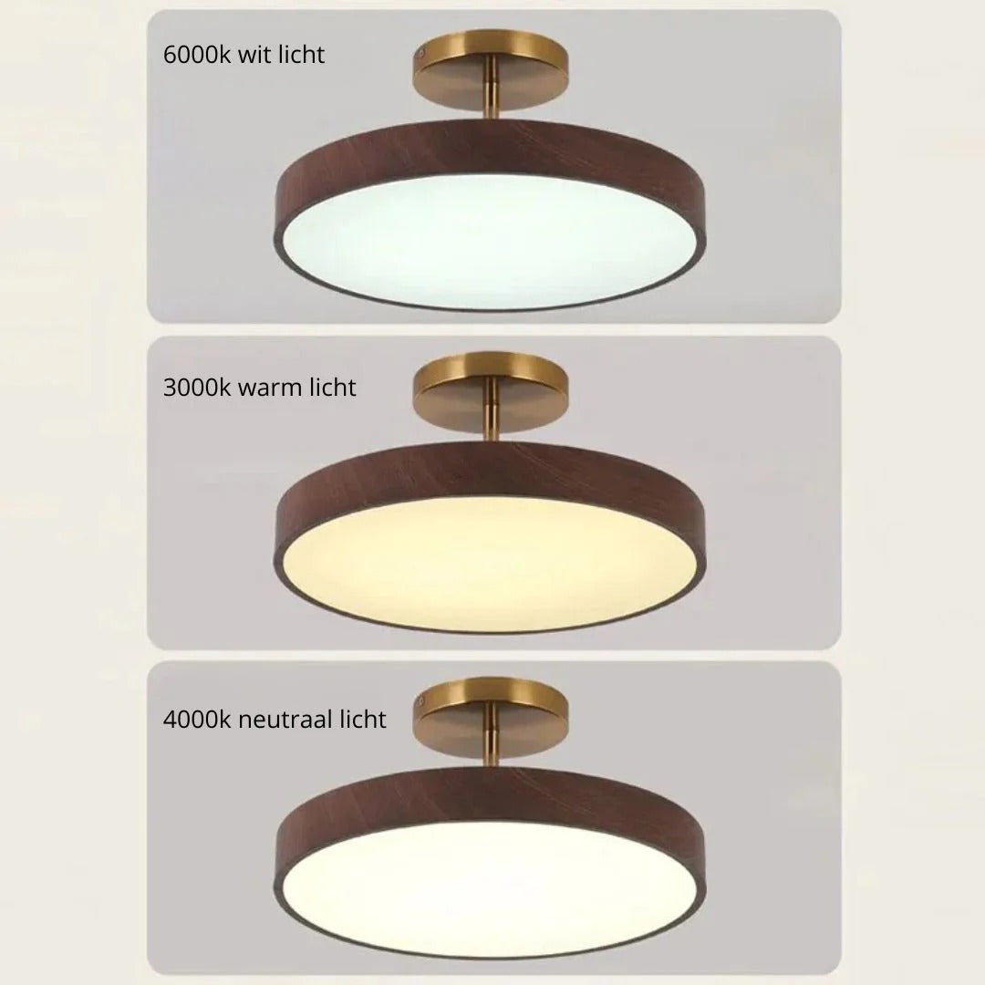 Hedendaagse ronde plafondlamp