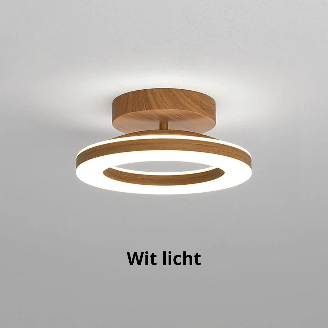 Scandinavische LED Plafondlamp