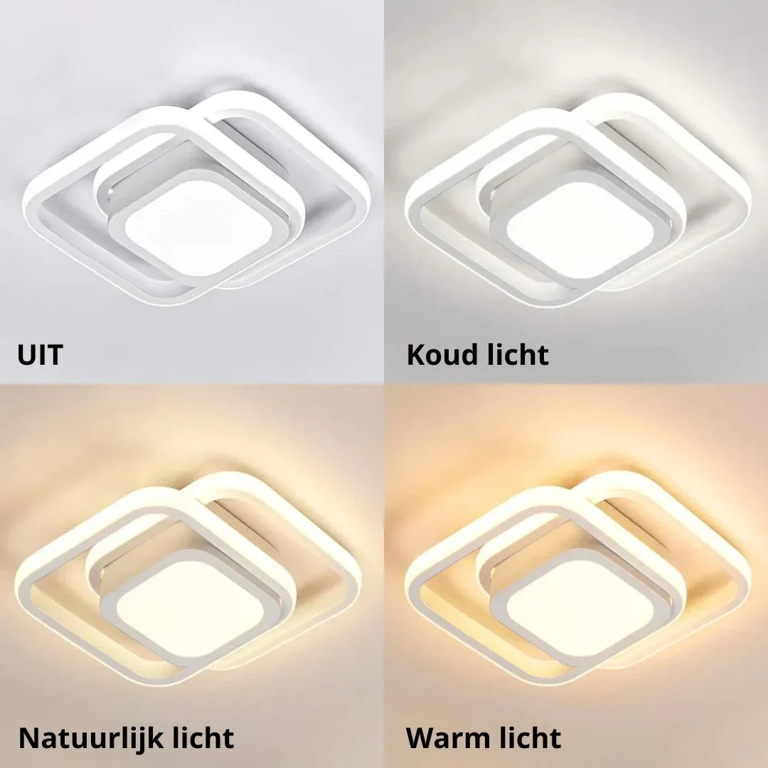 Hedendaagse Dubbele Ring Plafondlamp