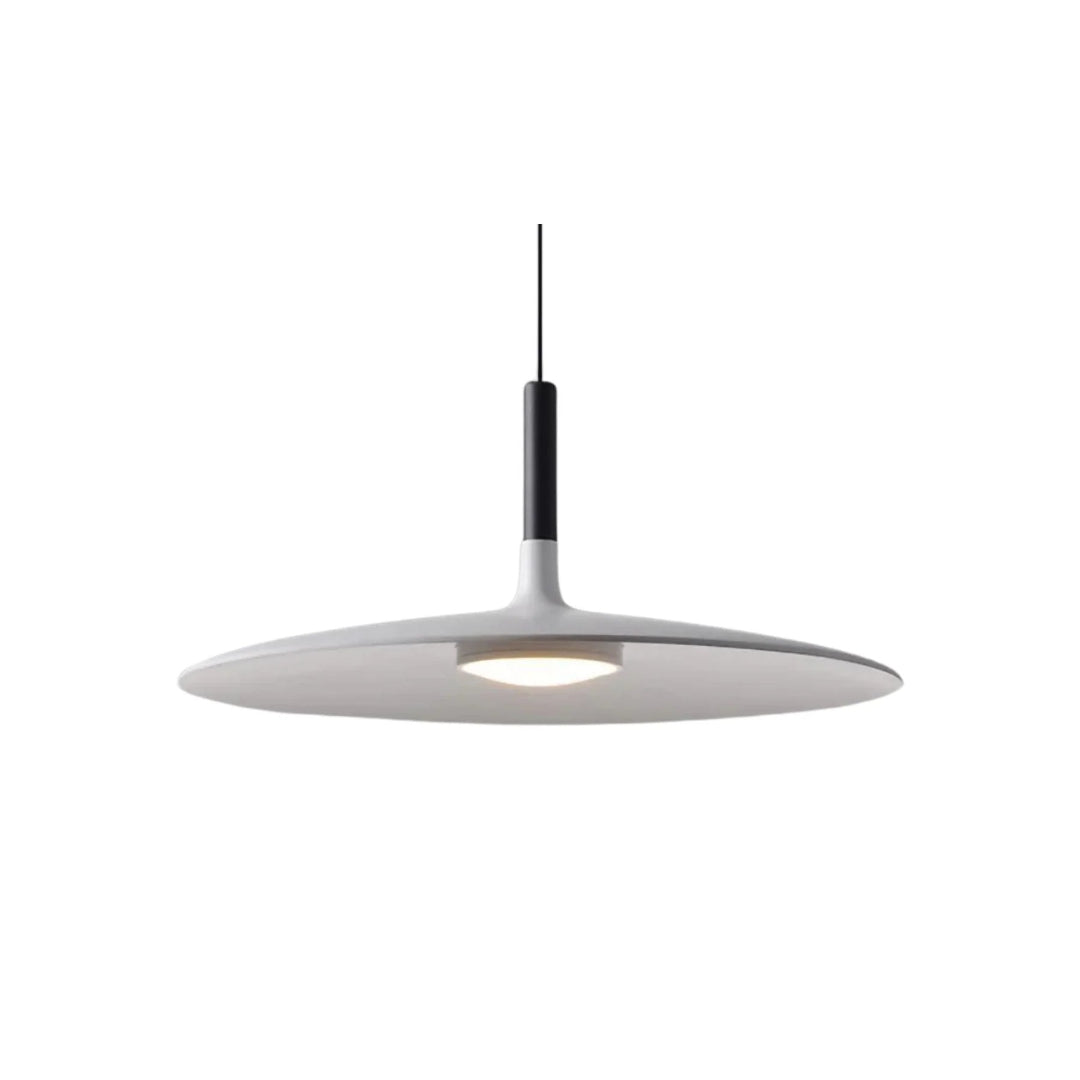 Moderne Metalen Hanglamp