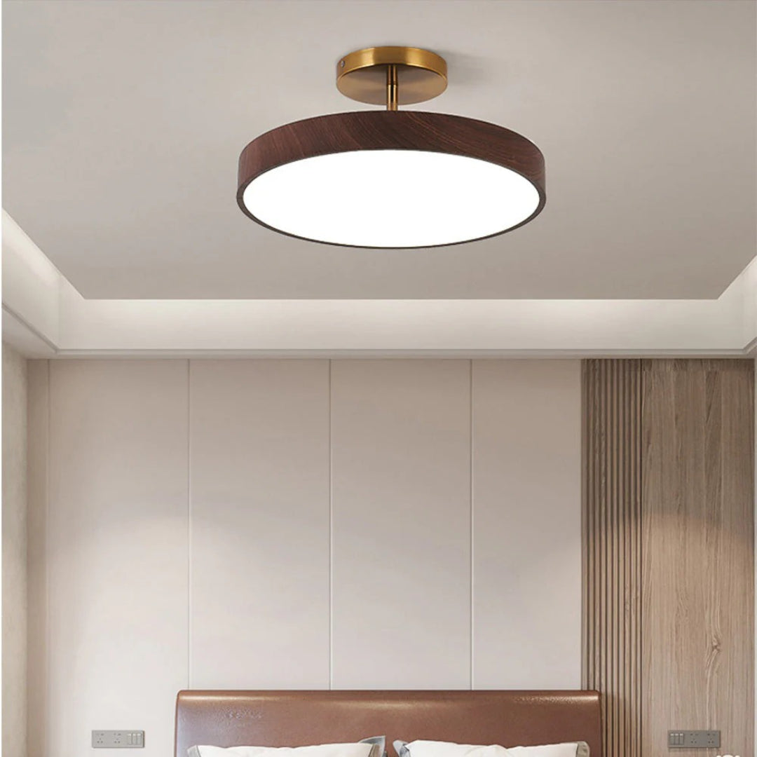 Hedendaagse ronde plafondlamp