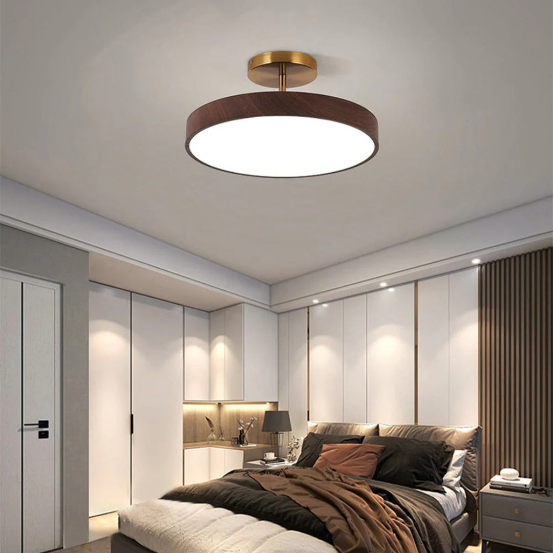 Hedendaagse ronde plafondlamp