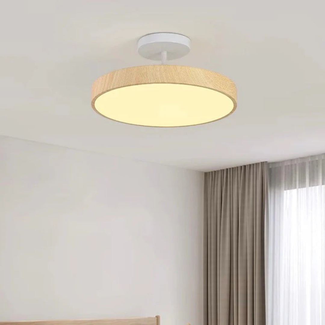 Hedendaagse ronde plafondlamp