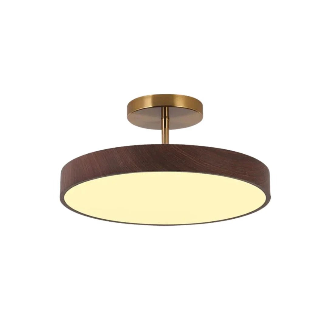Hedendaagse ronde plafondlamp