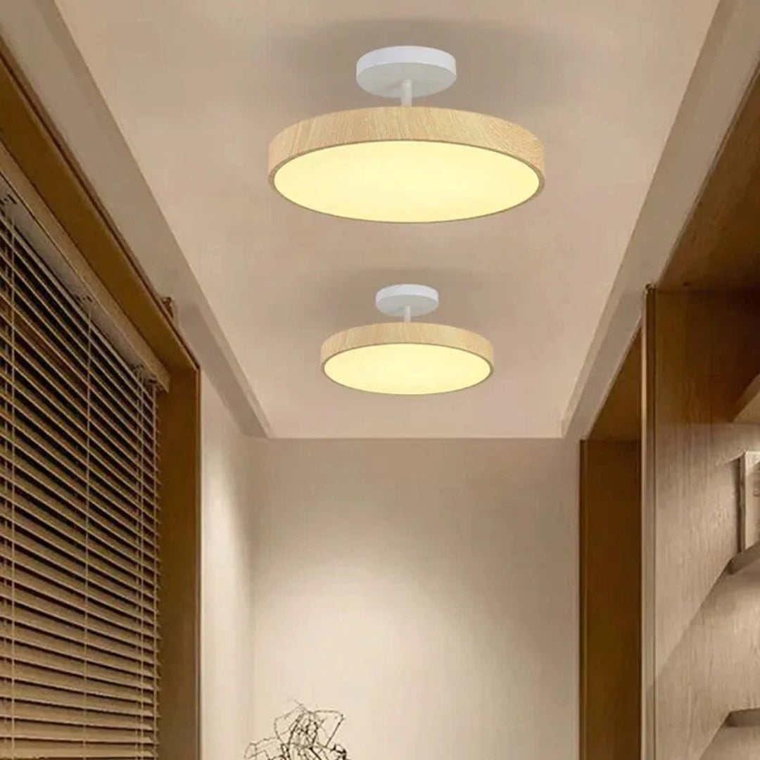 Hedendaagse ronde plafondlamp