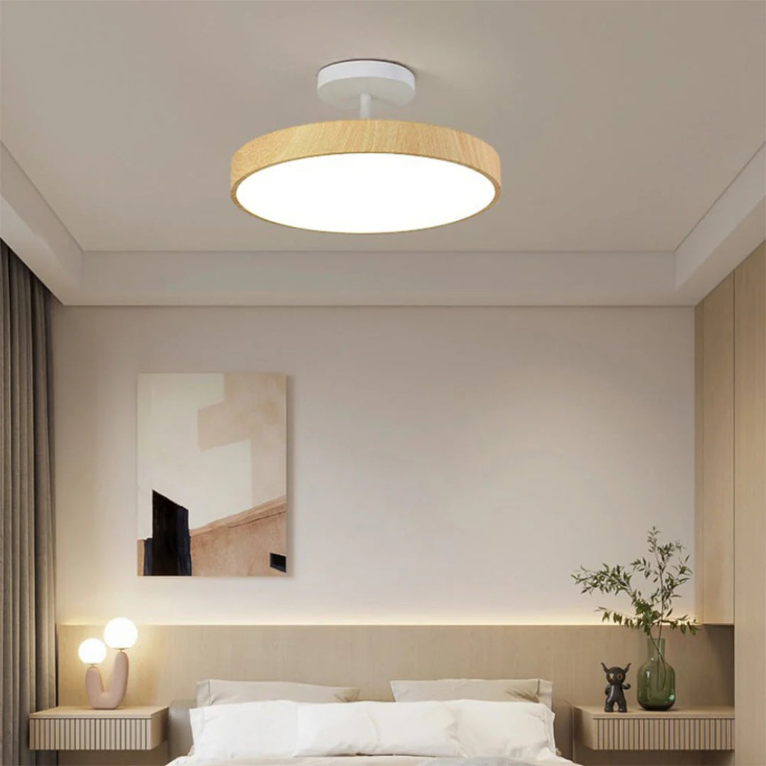 Hedendaagse ronde plafondlamp