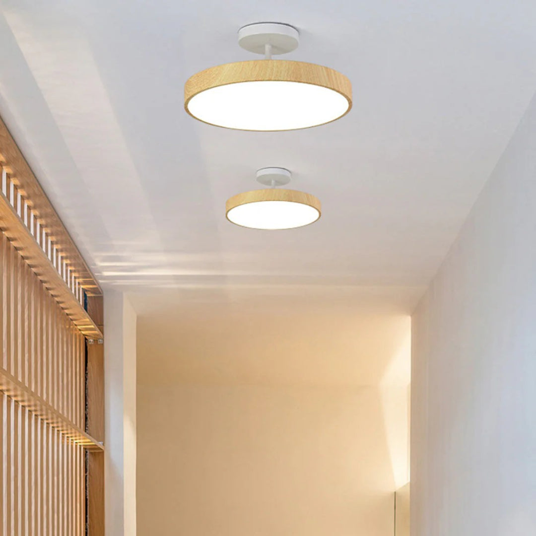 Hedendaagse ronde plafondlamp
