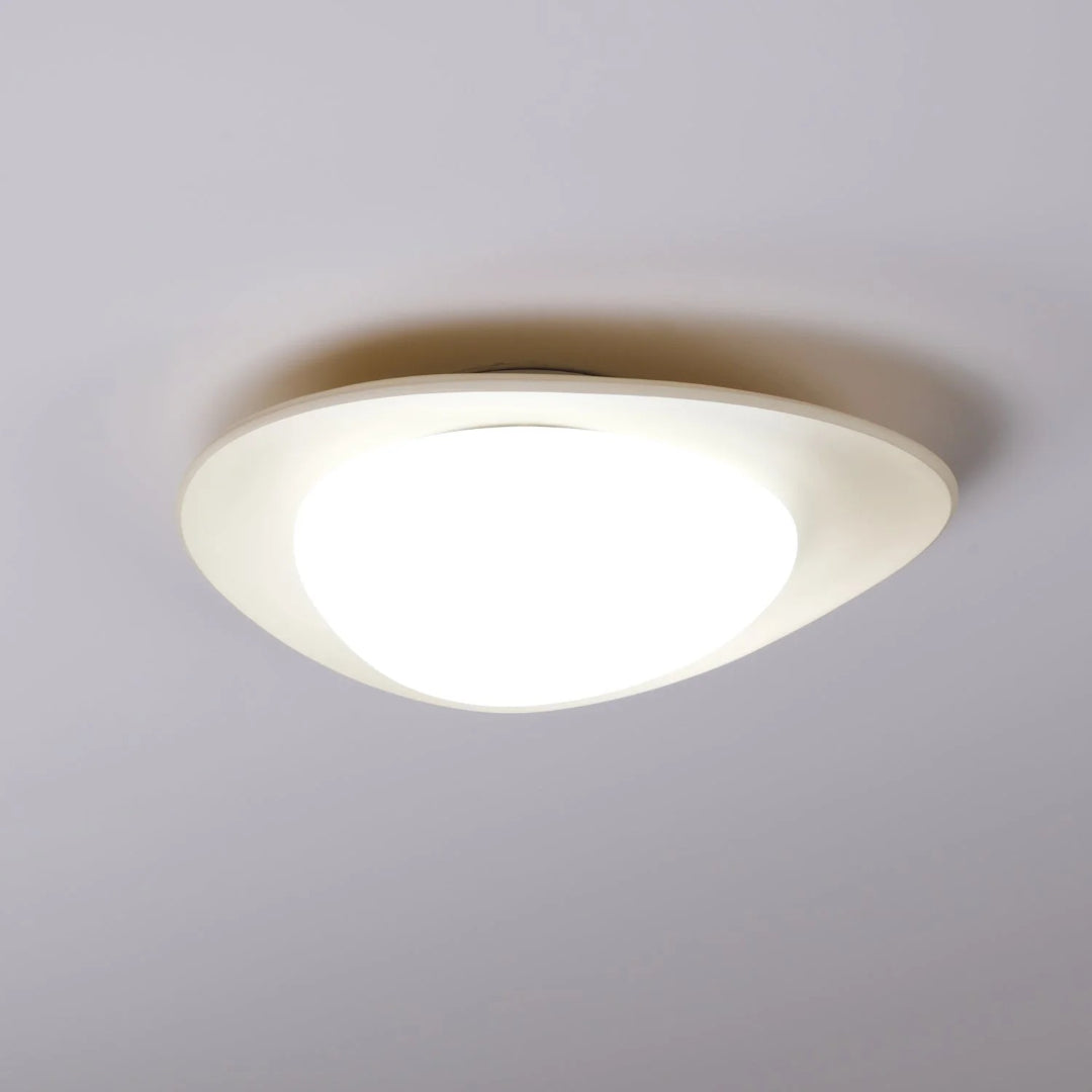 Hedendaagse Bladvormige LED Plafondlamp