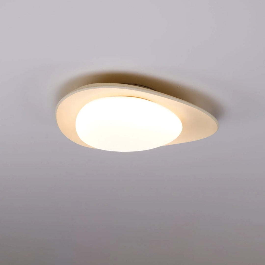 Hedendaagse Bladvormige LED Plafondlamp