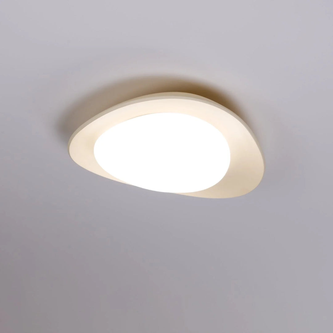 Hedendaagse Bladvormige LED Plafondlamp