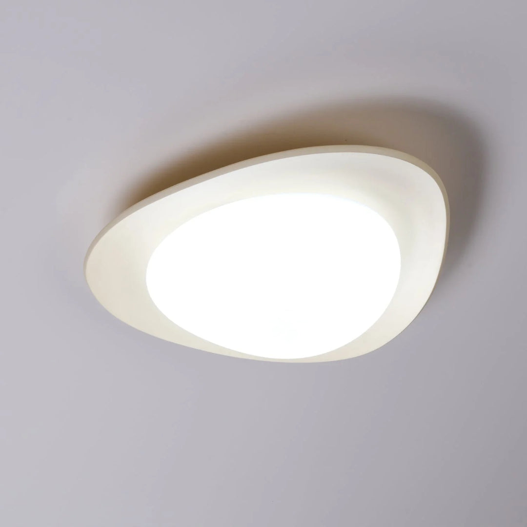 Hedendaagse Bladvormige LED Plafondlamp