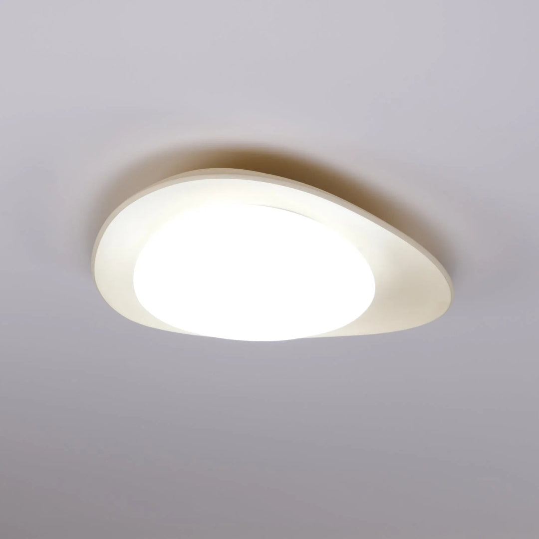 Hedendaagse Bladvormige LED Plafondlamp