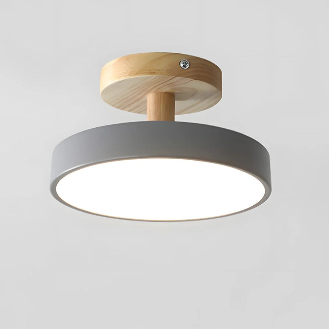Hedendaagse ronde plafondlamp