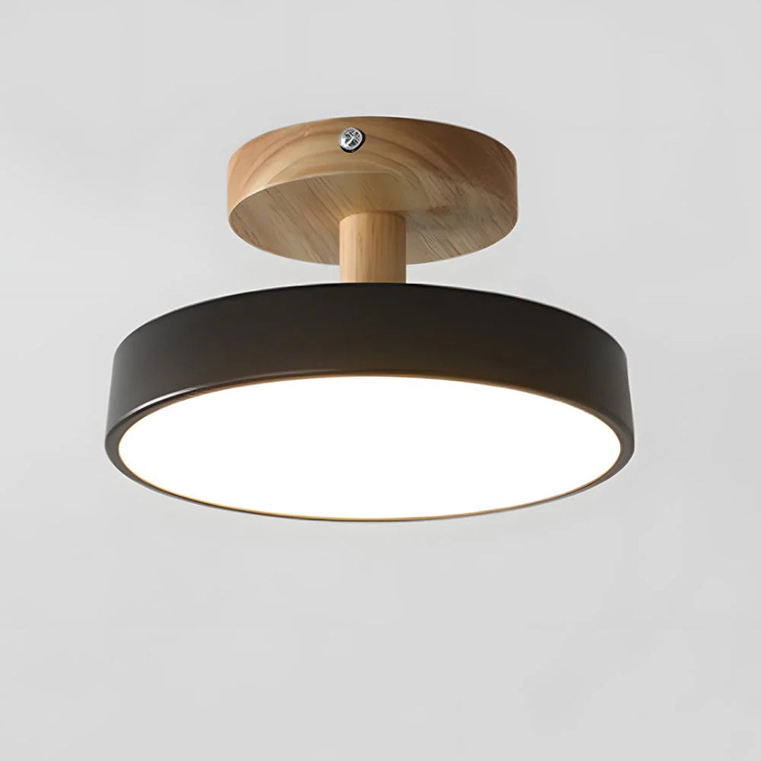 Hedendaagse ronde plafondlamp