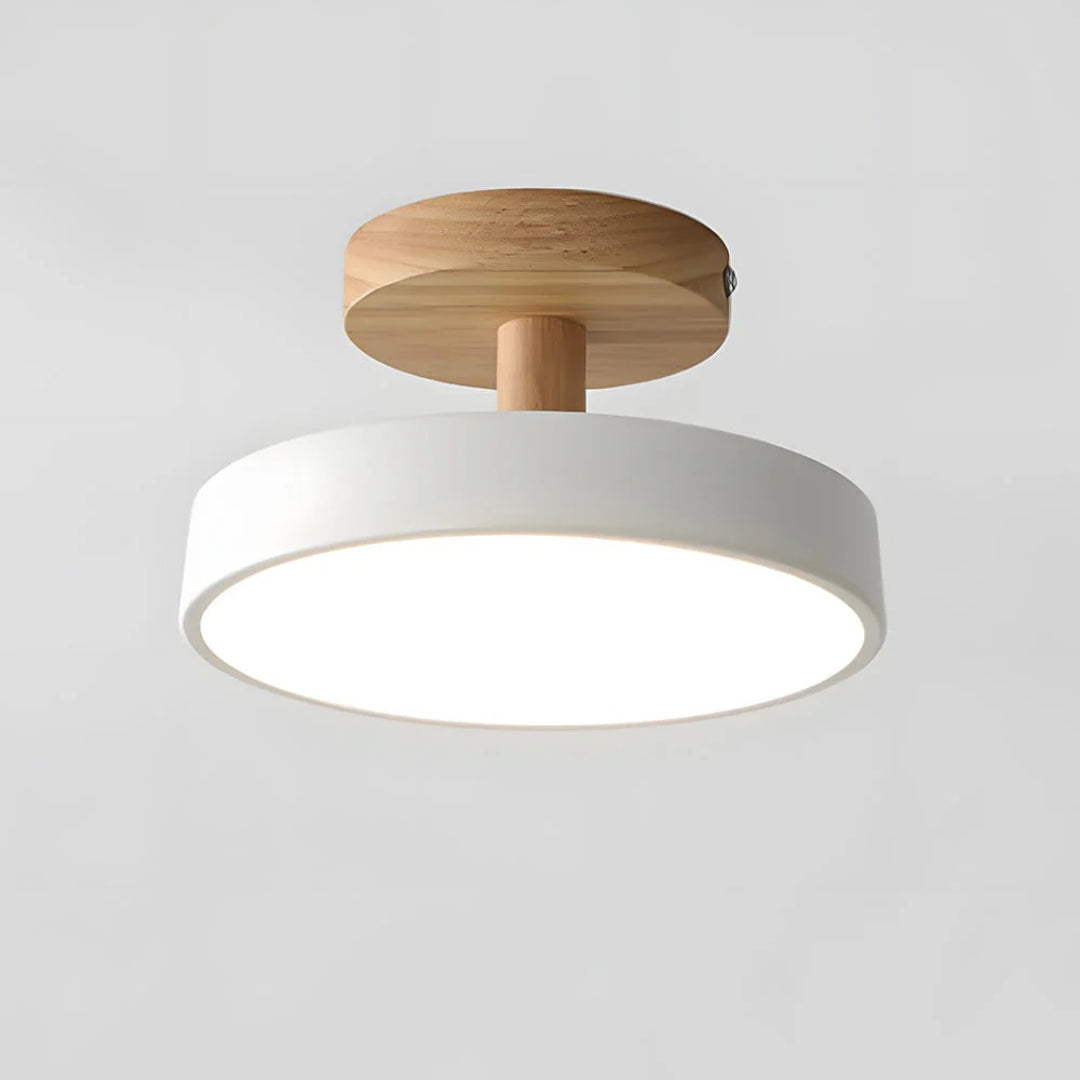 Hedendaagse ronde plafondlamp