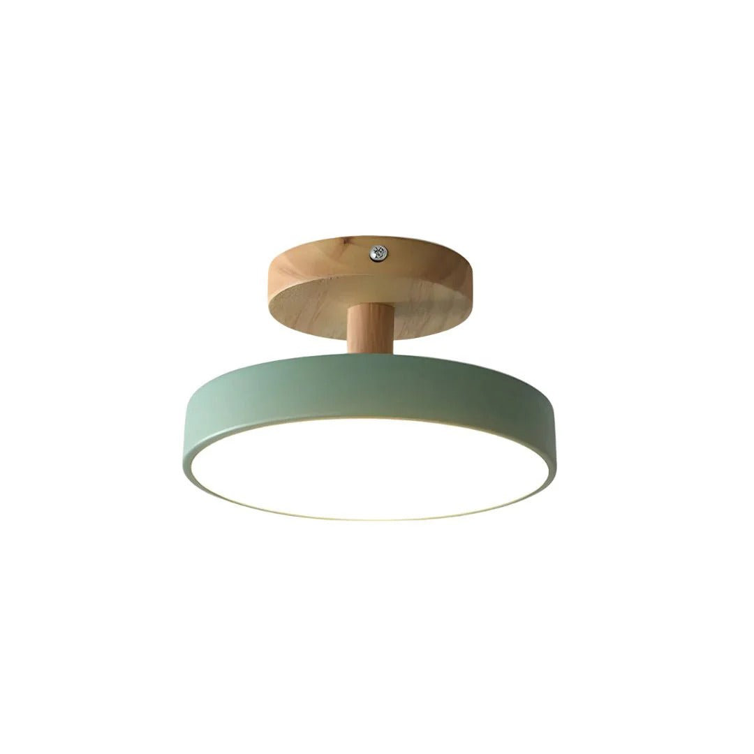 Hedendaagse ronde plafondlamp