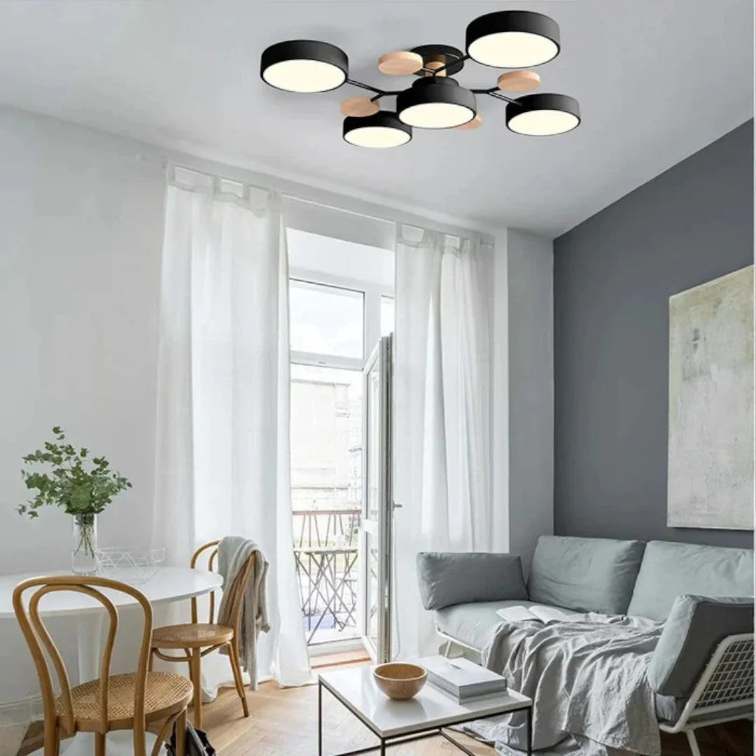 Moderne IJzeren LED Plafondlamp