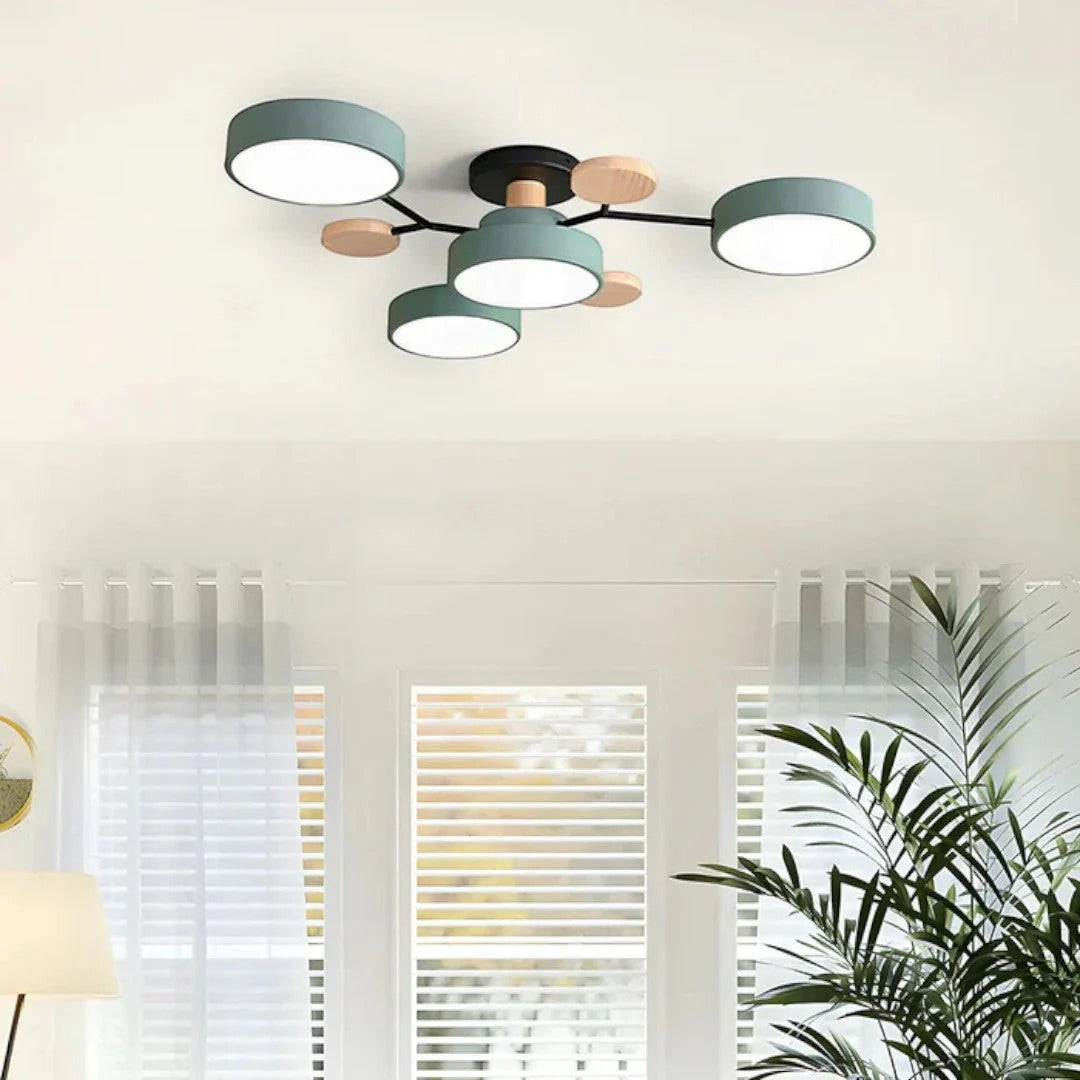 Moderne IJzeren LED Plafondlamp