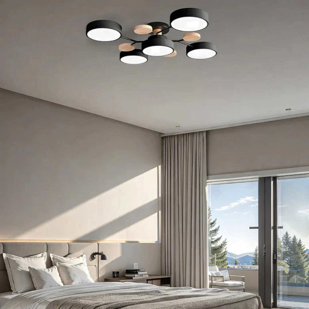 Moderne IJzeren LED Plafondlamp
