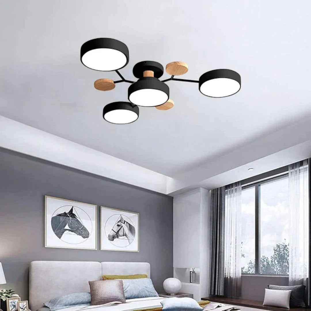 Moderne IJzeren LED Plafondlamp
