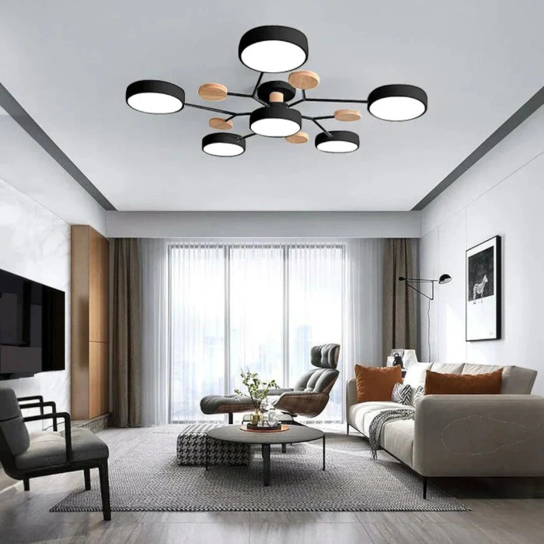 Moderne IJzeren LED Plafondlamp