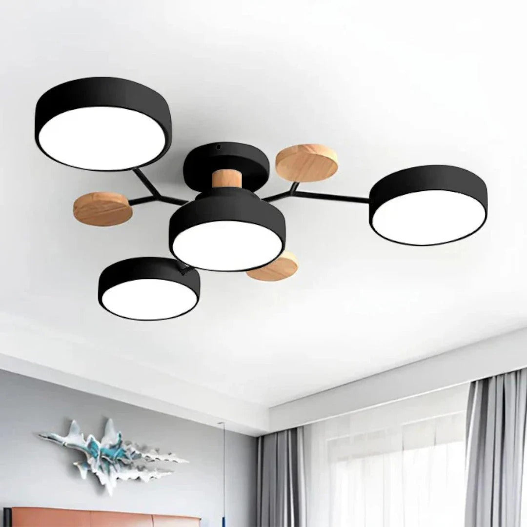 Moderne IJzeren LED Plafondlamp
