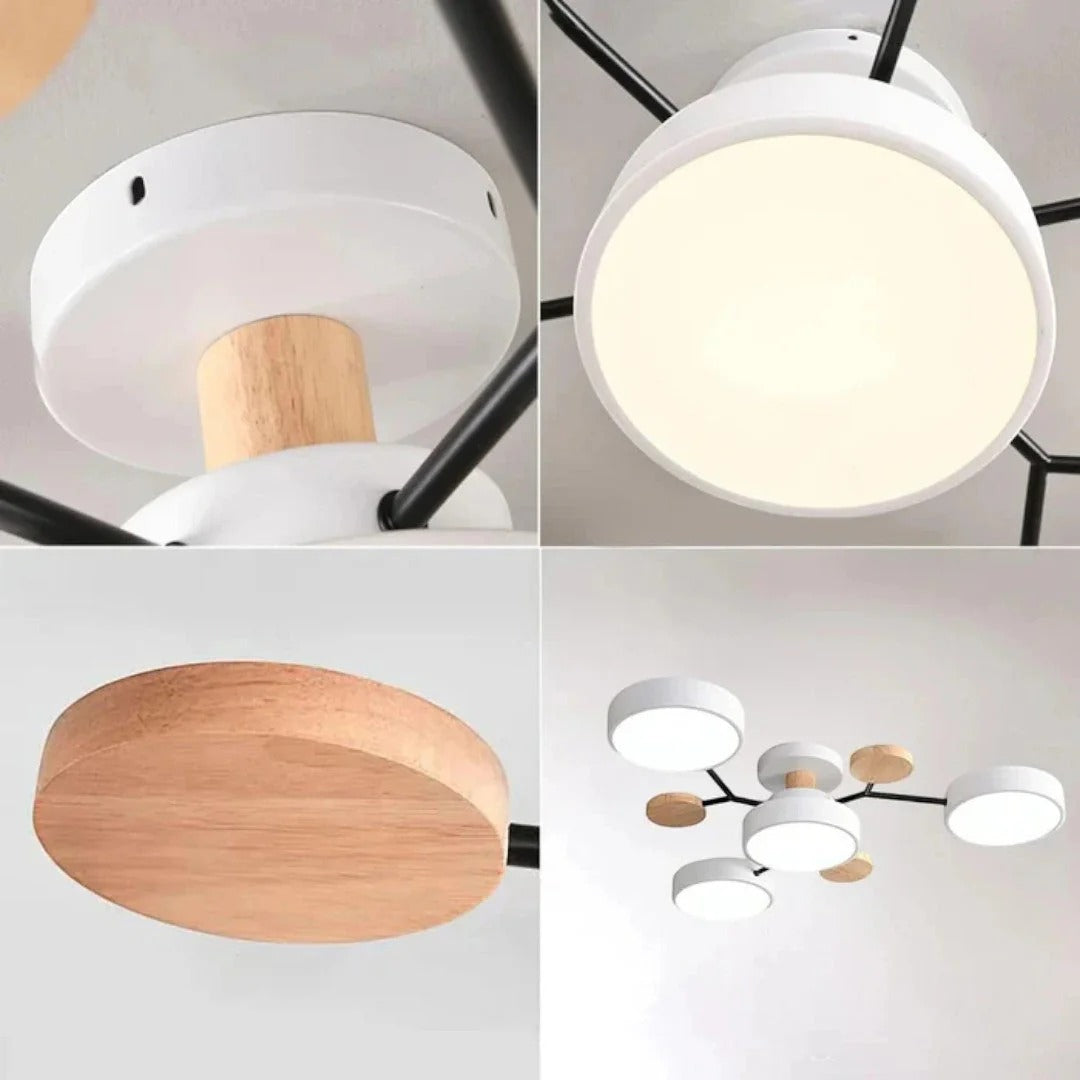 Moderne IJzeren LED Plafondlamp