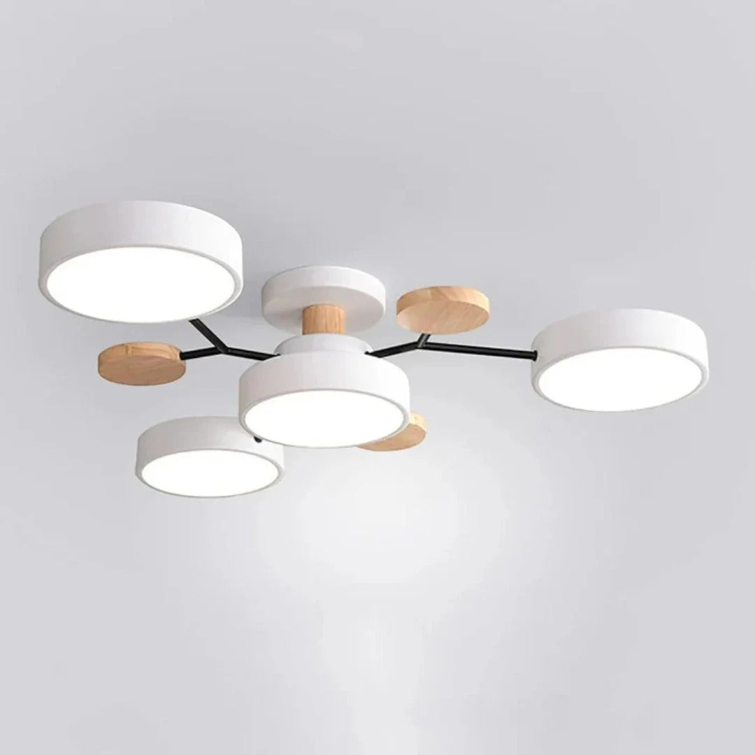 Moderne IJzeren LED Plafondlamp