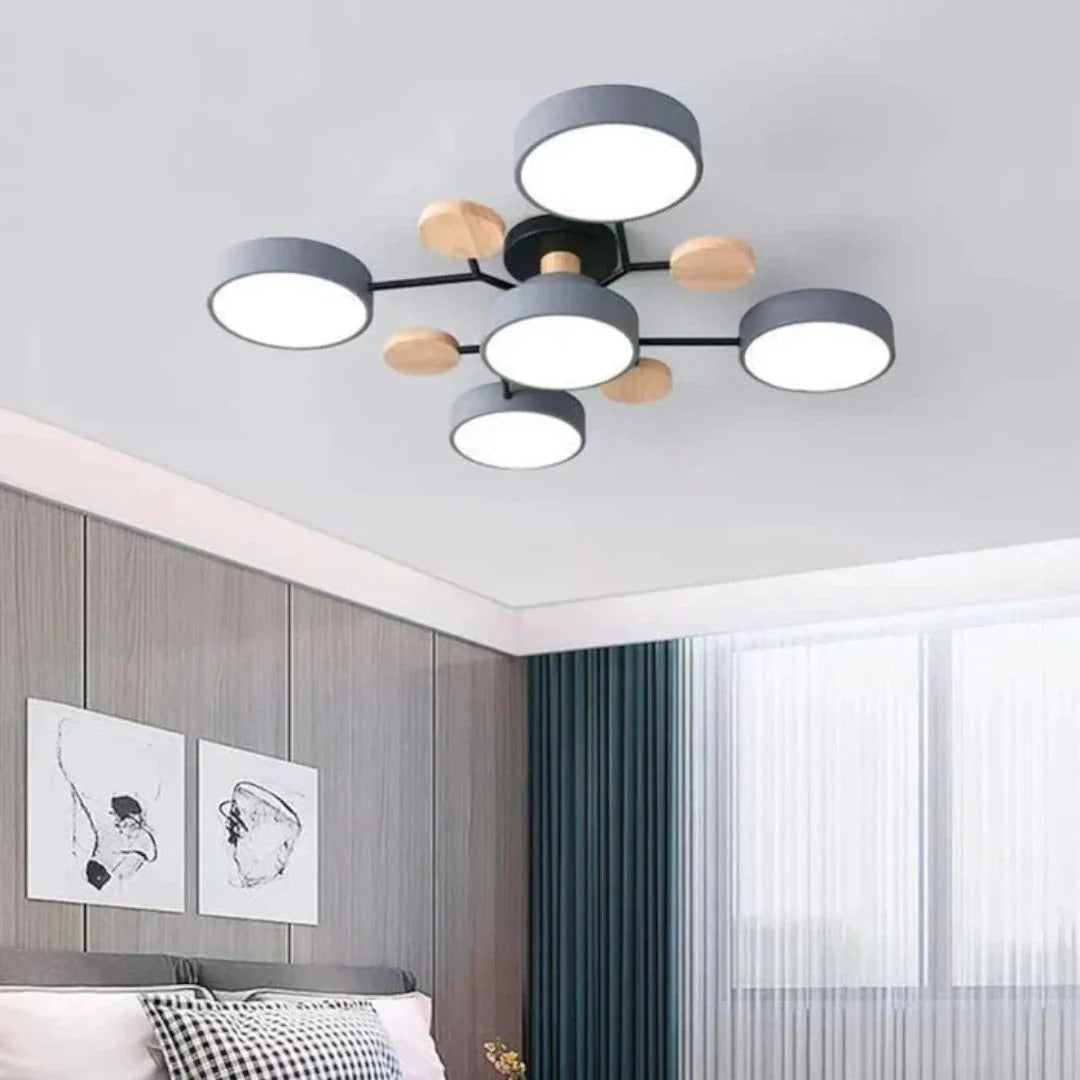Moderne IJzeren LED Plafondlamp