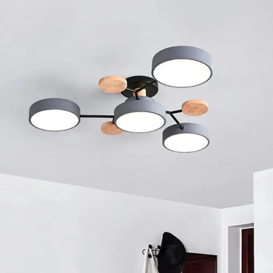 Moderne IJzeren LED Plafondlamp