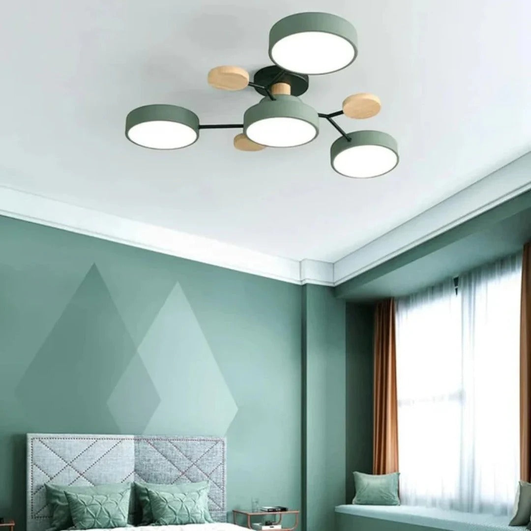 Moderne IJzeren LED Plafondlamp