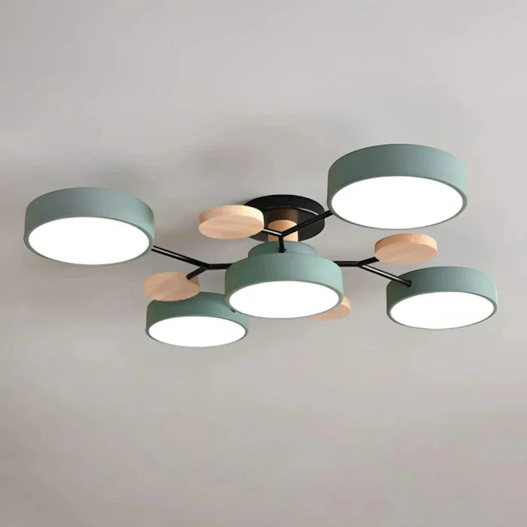 Moderne IJzeren LED Plafondlamp