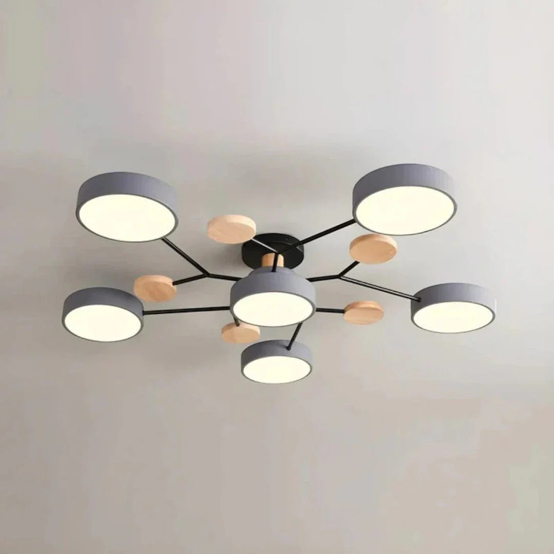Moderne IJzeren LED Plafondlamp
