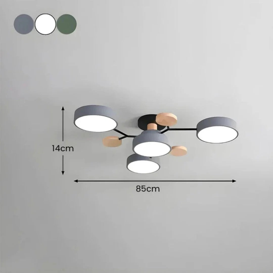 Moderne IJzeren LED Plafondlamp