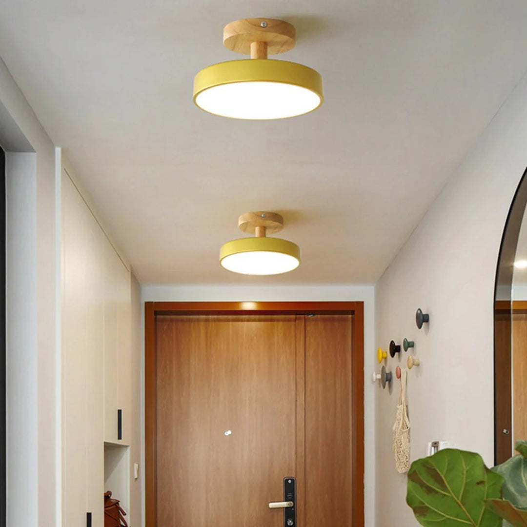Hedendaagse ronde plafondlamp
