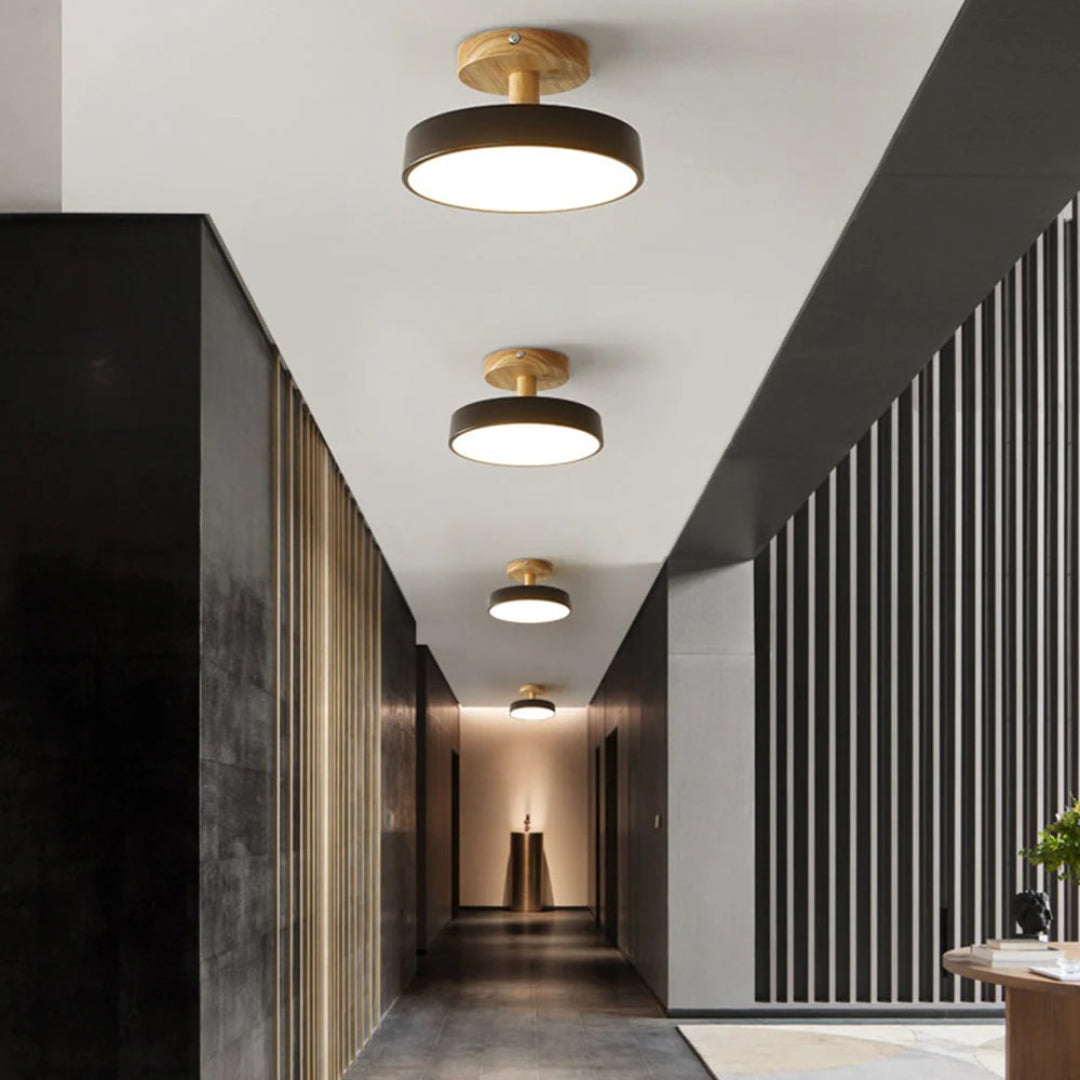 Hedendaagse ronde plafondlamp