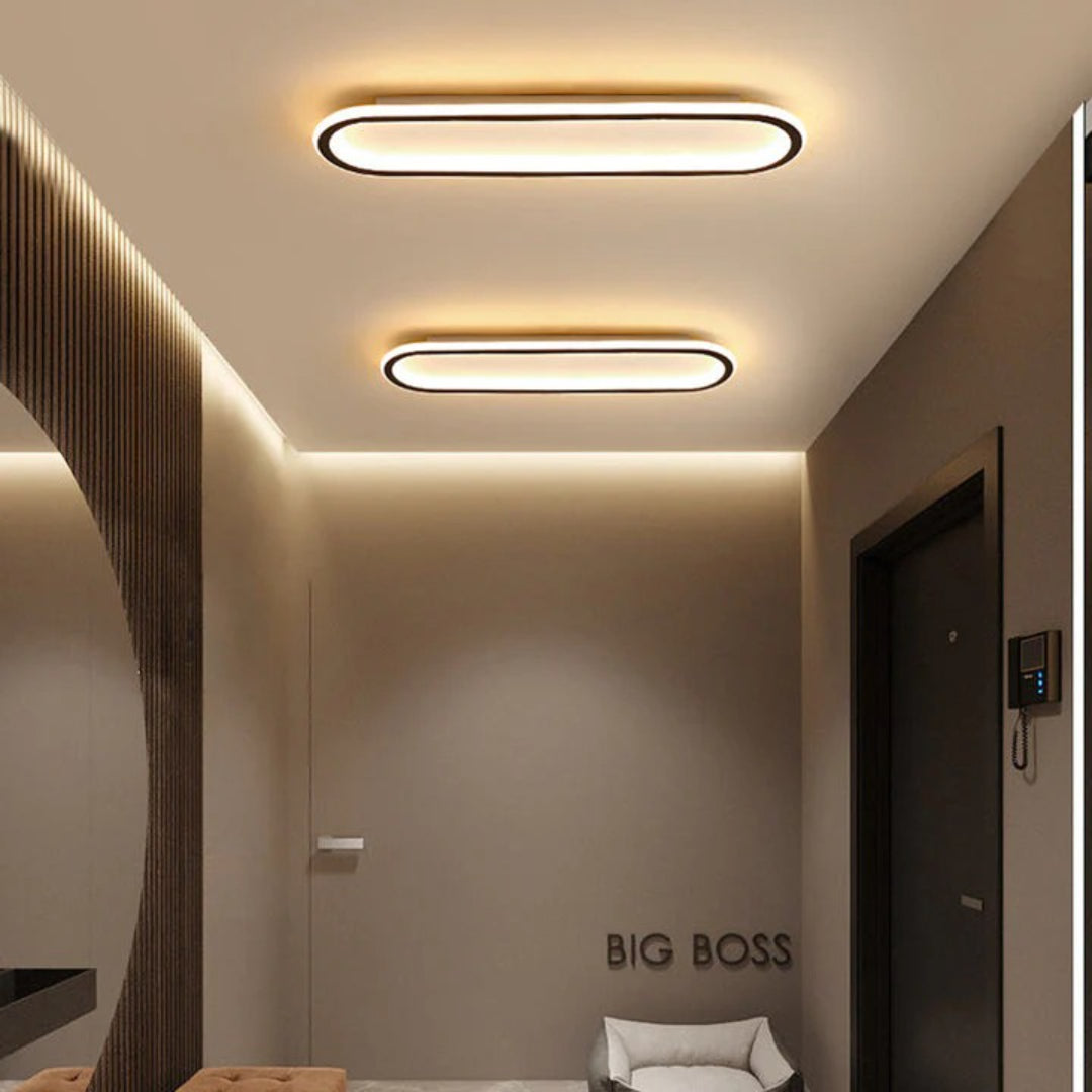 Moderne Ovale LED Plafondlamp